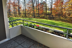 Asemwald Balkon 1 Zimmerwohnung Immobilienmakler