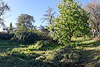 Sonniges Baugrundstück mit schönem idyllischem Garten in absolut ruhiger Lage und dennoch unweit der S-Bahn in Bernhausen